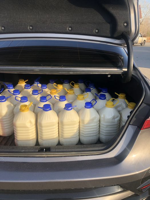 Продам Баянский кымыз( кумыс)