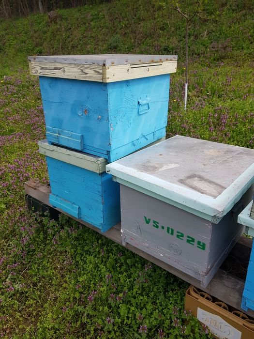 Lazi stup,folosite,1/1+cat 1/2,10 rame