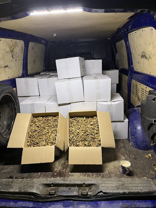 Miez de nuca super calitare