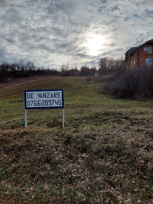 Teren intravilan 4888 mp Leamna