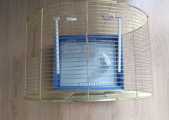 Клетка для канарейки