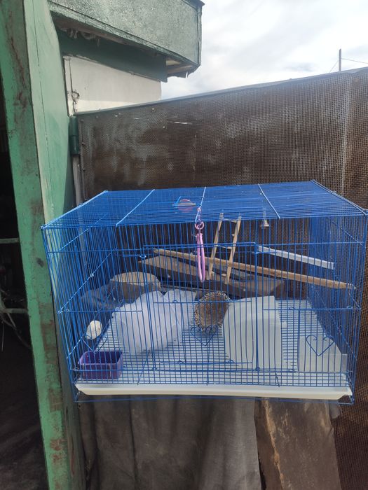 Большая клетка для попугаев