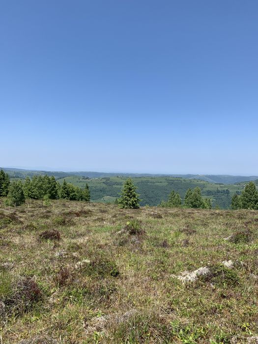 Teren in Maguri parcelabil la cerere