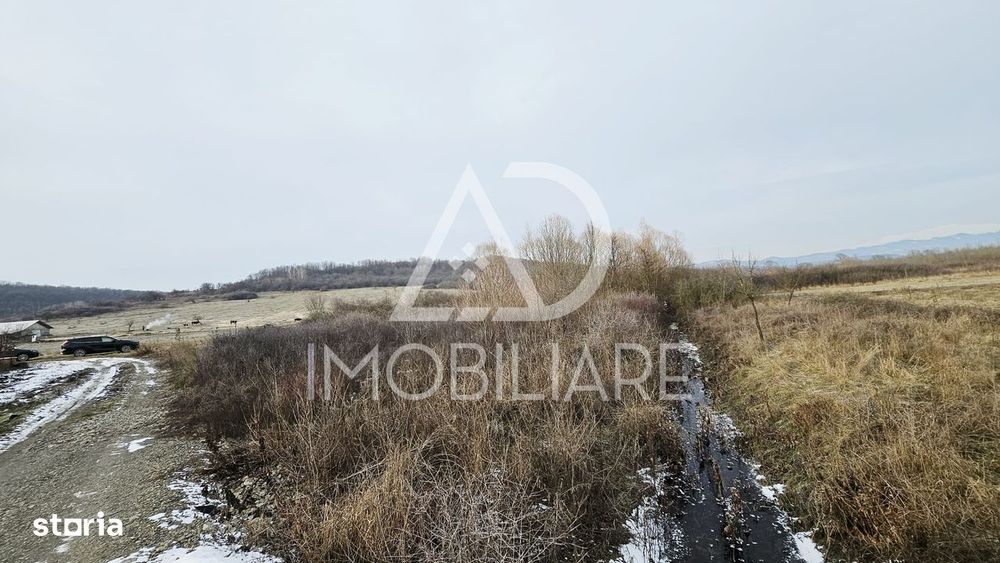 Teren de Vânzare în Turcinesti