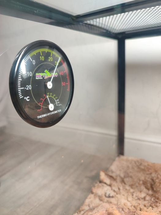 Продам террариум с гекконом