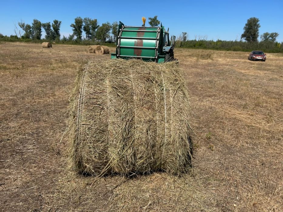 продам сено луговое