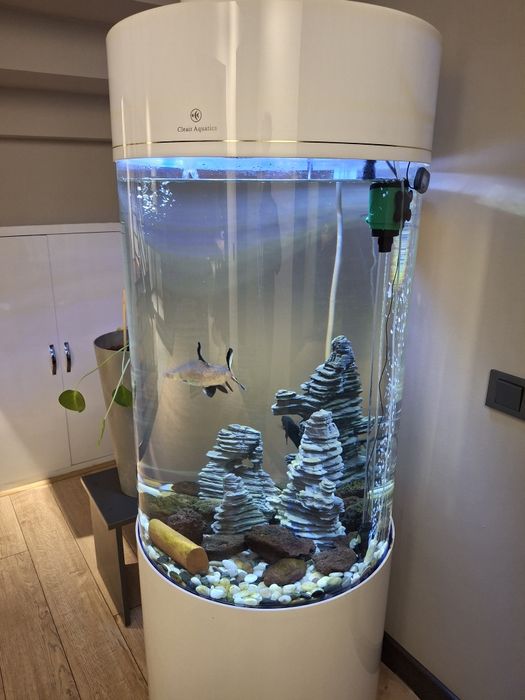 Огромный аквариум(500л)