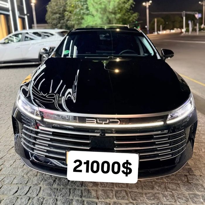 Byd chazor Hybrid 4 позиция