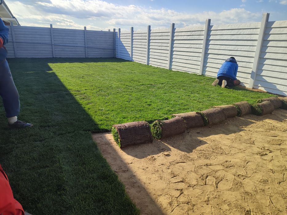 Gazon rulou supersport 24 de lei m2.Transport și montaj inclus în preț