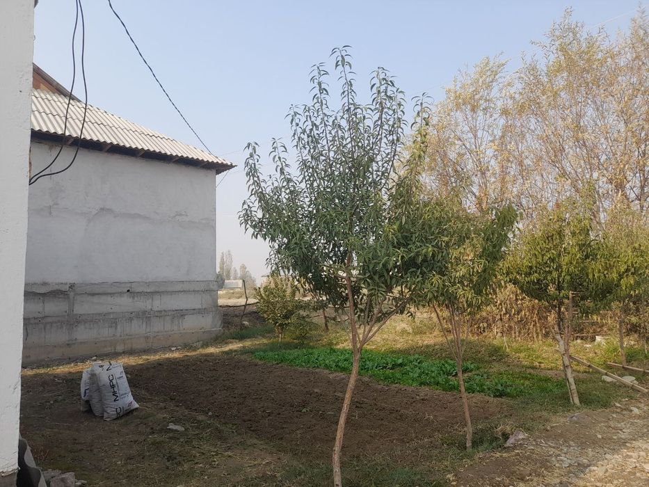 Продается дом в чукурсое