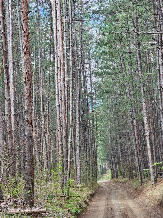 Продава се Парцел в София, Дружба 1 - 505 кв.м за 90 €/кв.м - Снимка #1