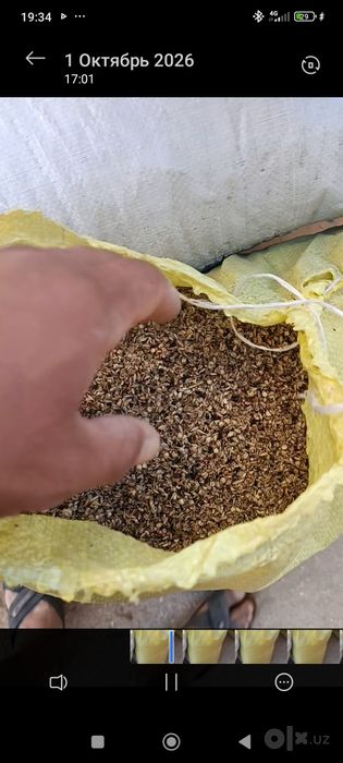 Жуеринин хохысы калтасы оптымга ириси 30 майдасы 40 тан