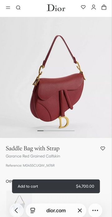 Saddle Bag with Strap