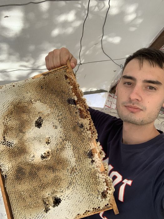 Свои Пчёлы - Свой Мёд