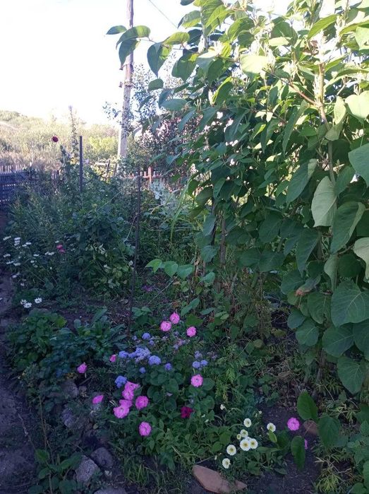 Продам дачу в районе 18 школы