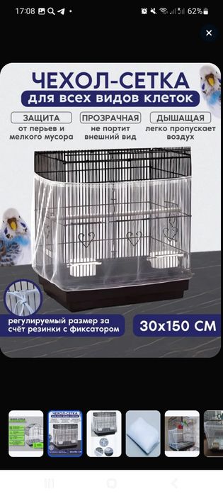 Продаётся малыш попугай