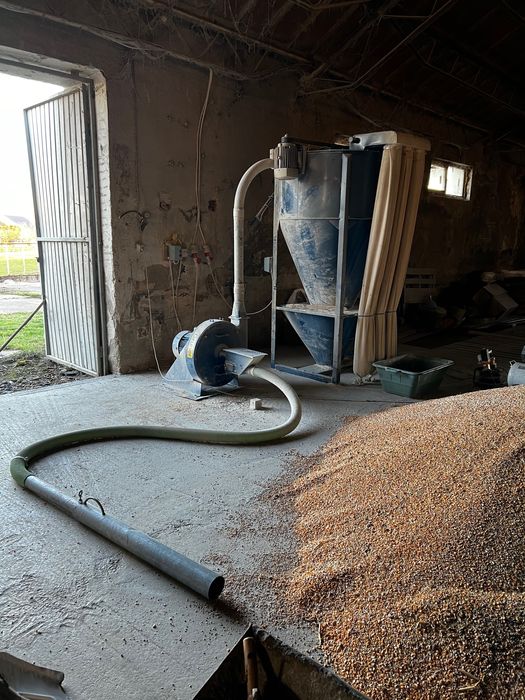 Furajul ideal pentru animale