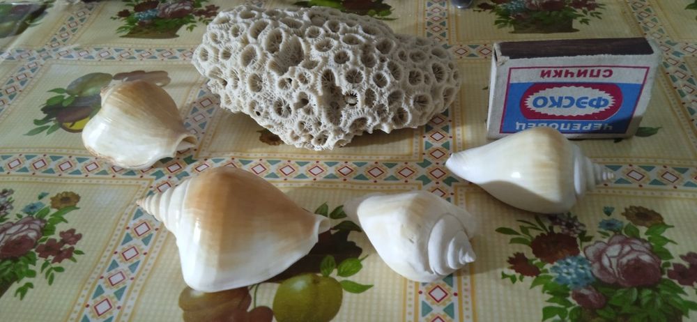 Аксессуар для аквариума цена за всё