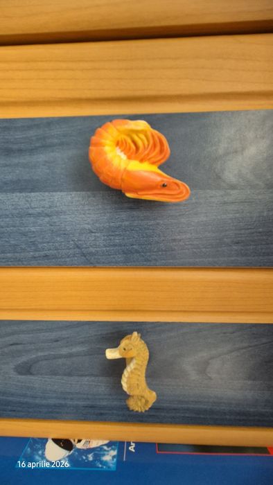 Mobila copii tineret