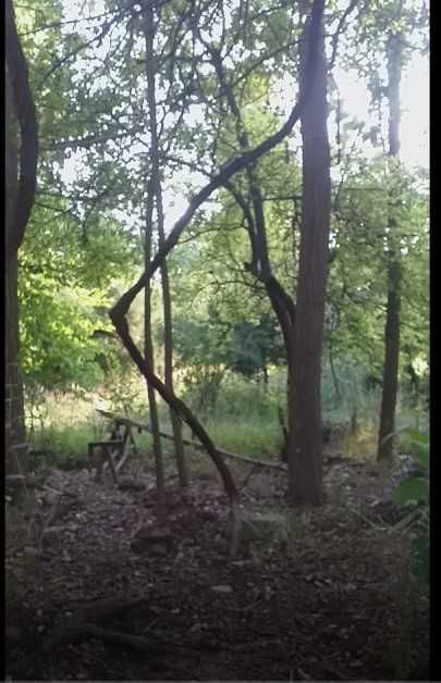 участка  сотилади