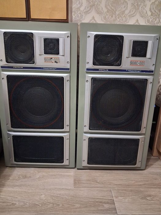 Акустика Электроника 90 АС-001.
