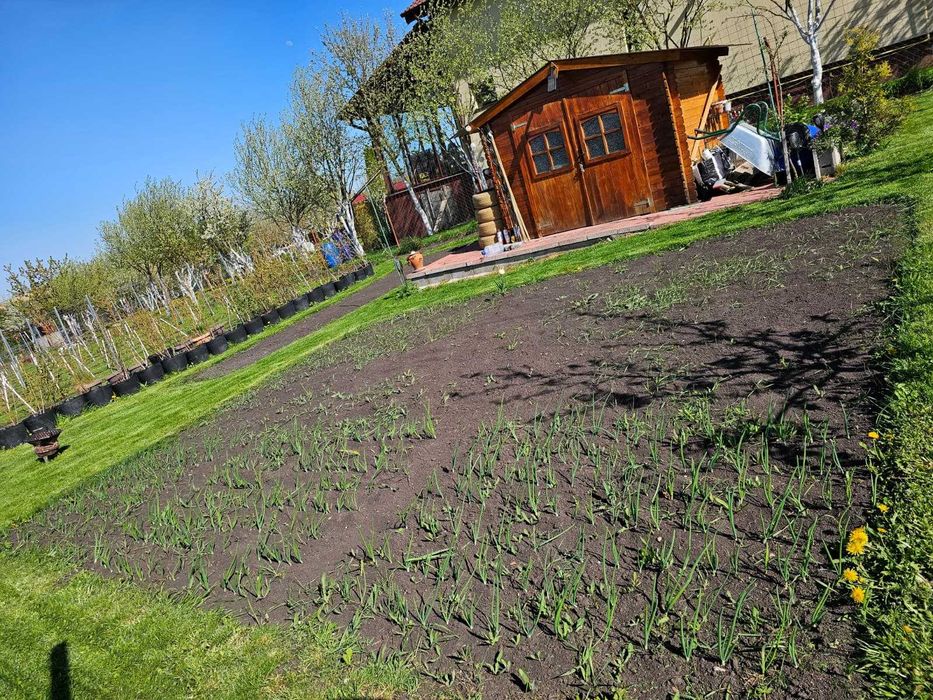 Vand teren impreuna cu proiect de casa in curs de autorizare in Tureni, jud. Cluj