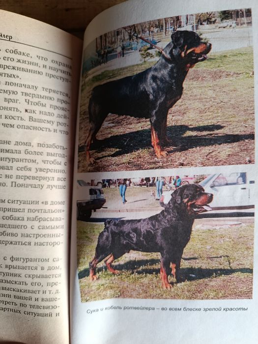 Книги  ротвейлер
