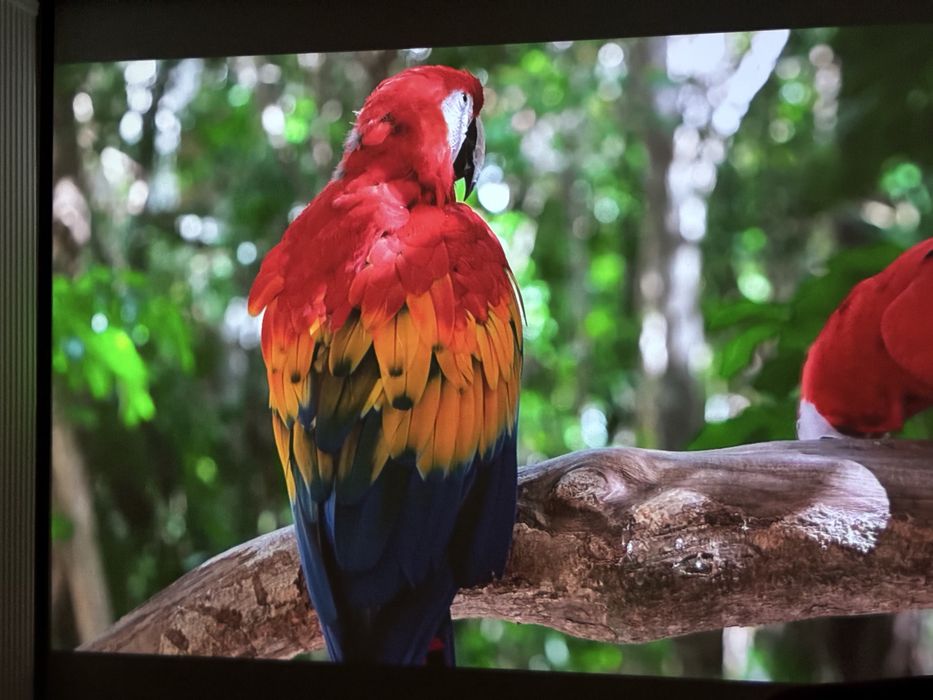 Проектор класса кинотеатр