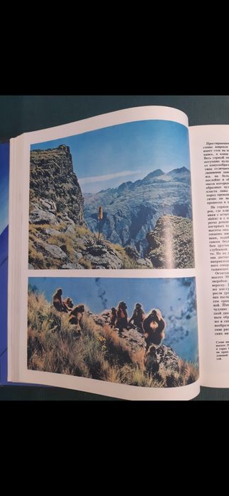 Африка на Л.Браун от 1976 година