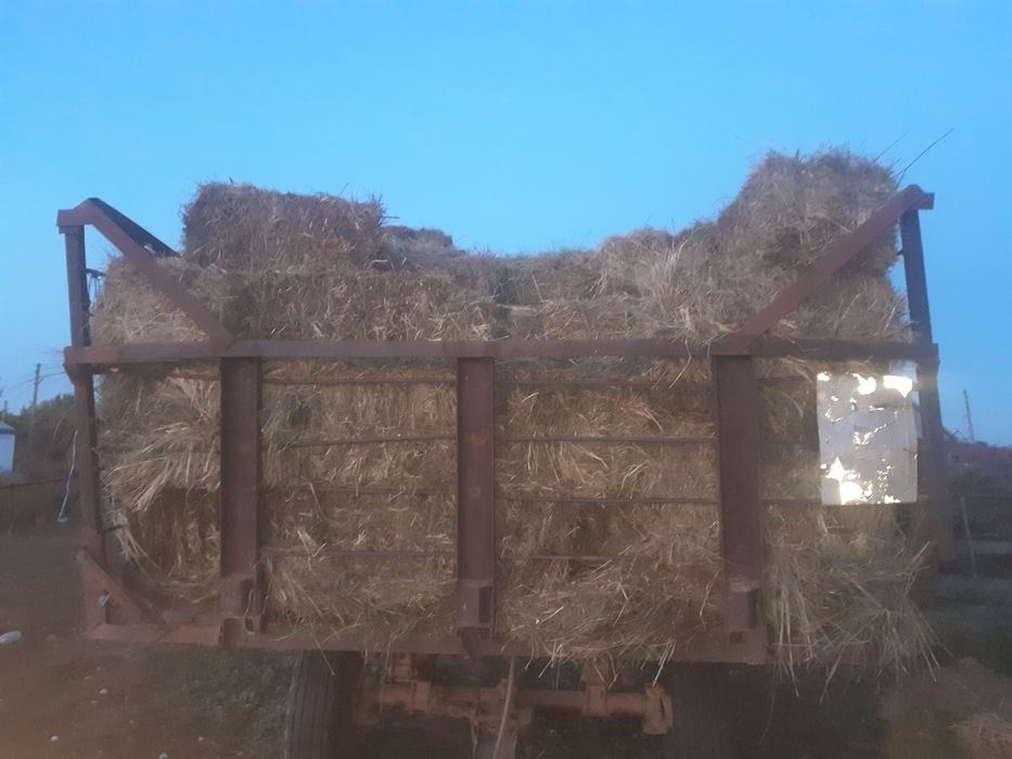 Продам сено луговой хорошое