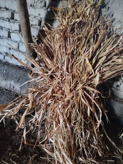 Мол  куелар  учун хашак Манзил Самарканд  Коттакурган