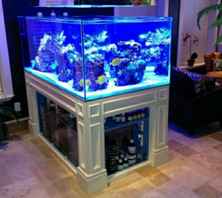 Изготовление и ремонт аквариума продажа рыб обслуживание и другие усл