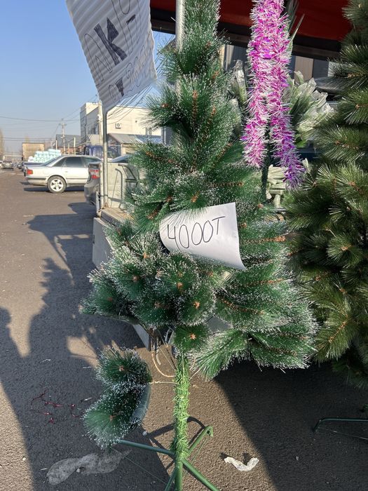 Елка по оптовой цене