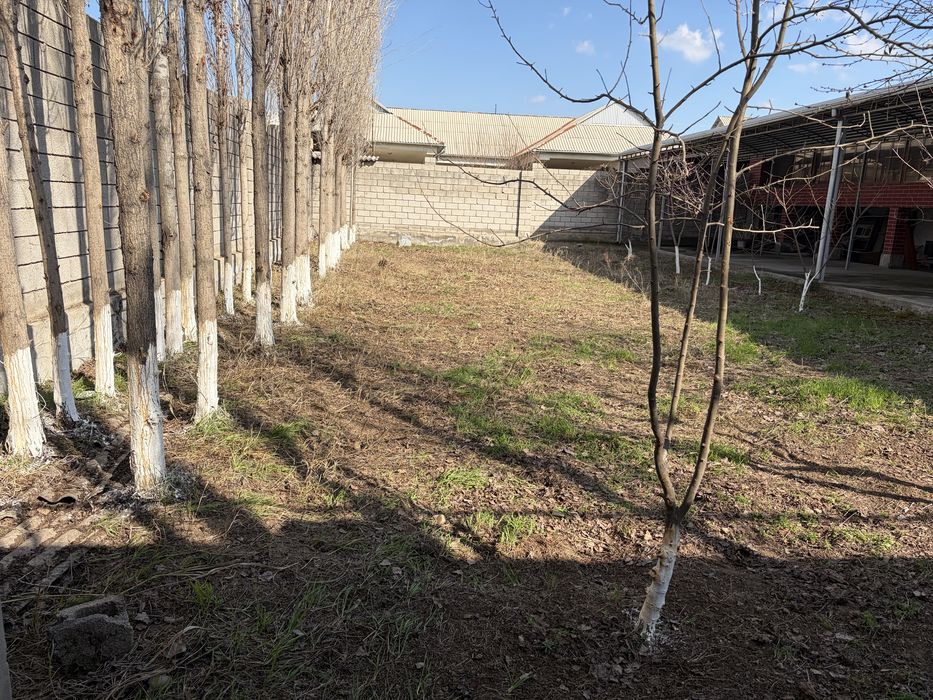 Sirdaryo shahar Shirin MFY da uy sotiladi