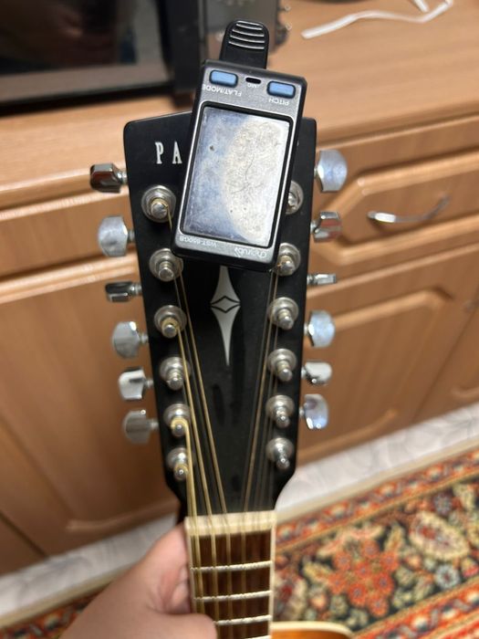 Гитара Darkwoord