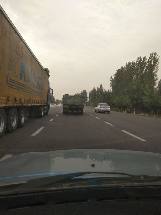 Зил кракадил гя 133