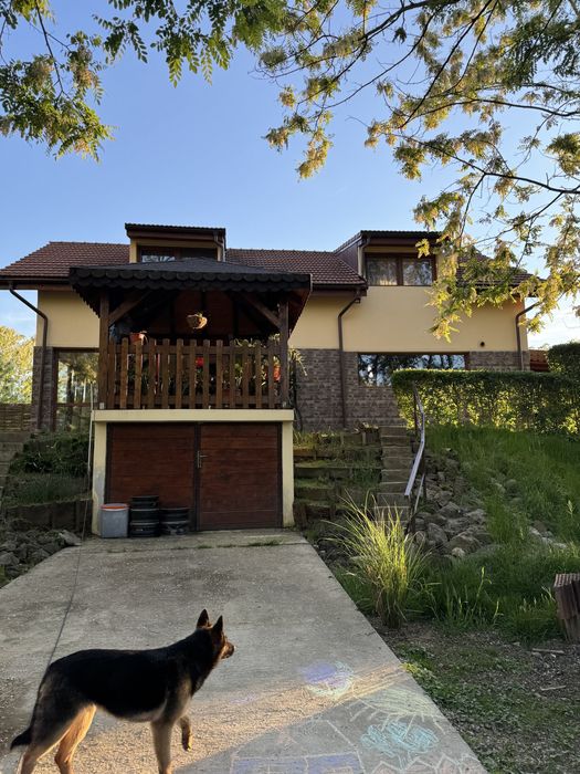 Vand casa in Lugojel