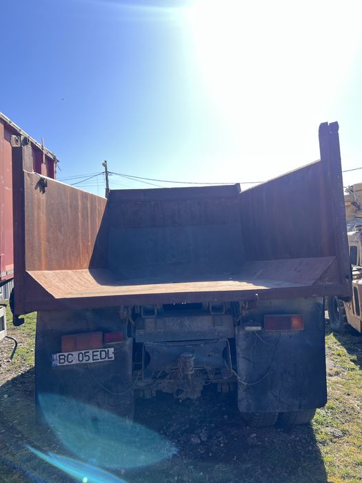 Raba basculanta Roman