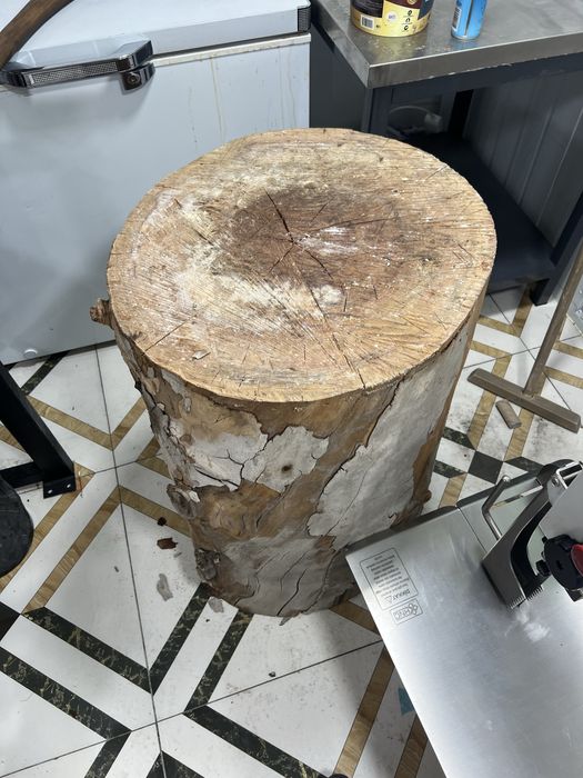 Тонка, пень, дерево бревно