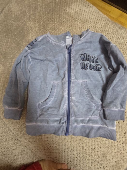 Bluza trening coccodrillo 110