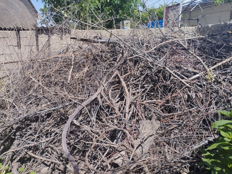 Продаются дрова.