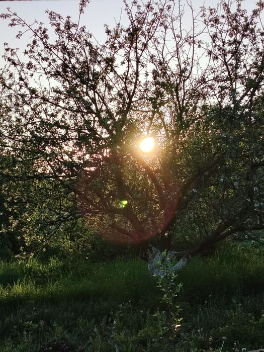 Продам дачу. Район Кривого озера.