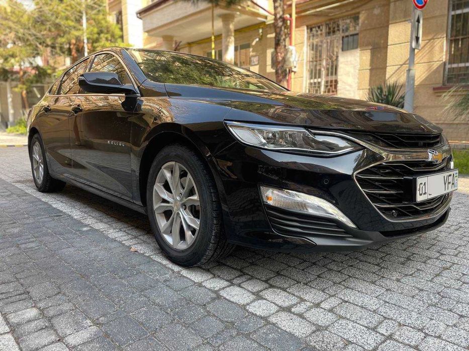 Малибу Премьер / MALIBU PREMIER 2021