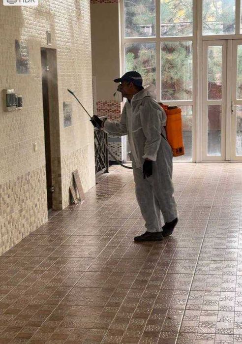 Dezinfeksiya xizmati klop tarakan pasha chivin