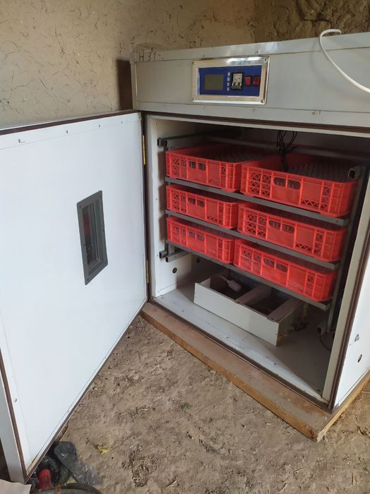 Inkubator foydalanishga tayyor