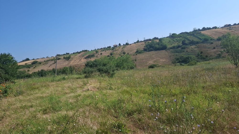 Vand teren comuna Mischii, sat Calinesti