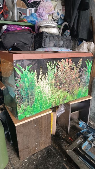 Аквариум  для животных