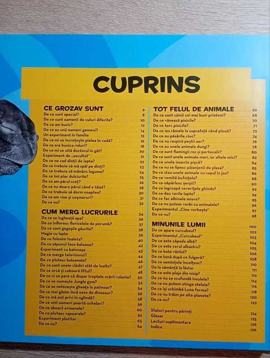 DE CE? Iată o întrebare