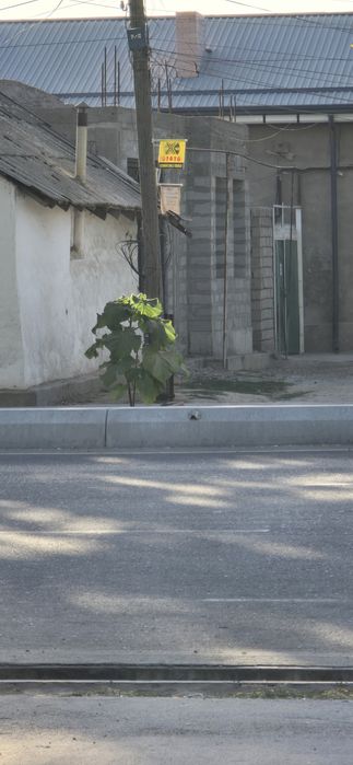 Ховли 2.5 сотих Янгийул Шахар самарканд кучаси