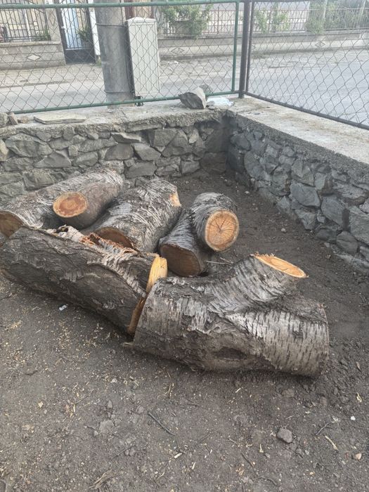 Дървен материал - череша